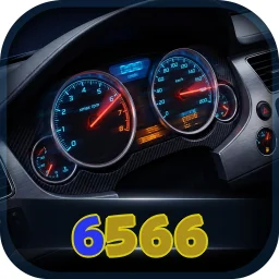 6566